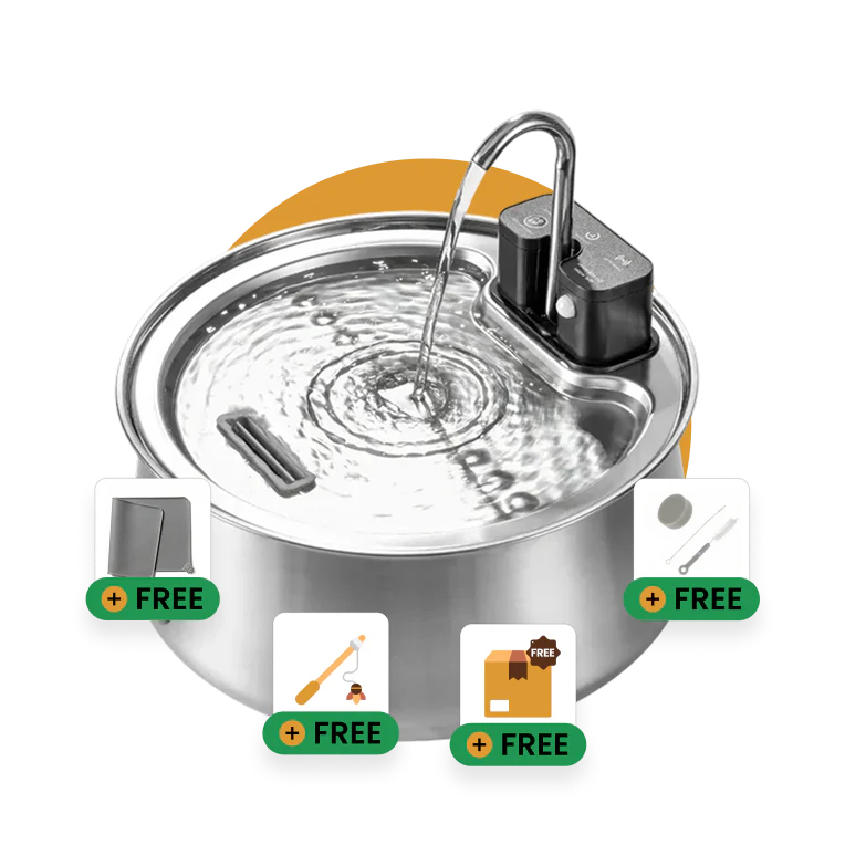 Ready to Improve Your Cat’s Hydration? Try Purranova™ Risk-Free Today