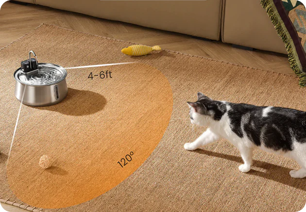 Designed Around Your Cat’s Natural Instincts